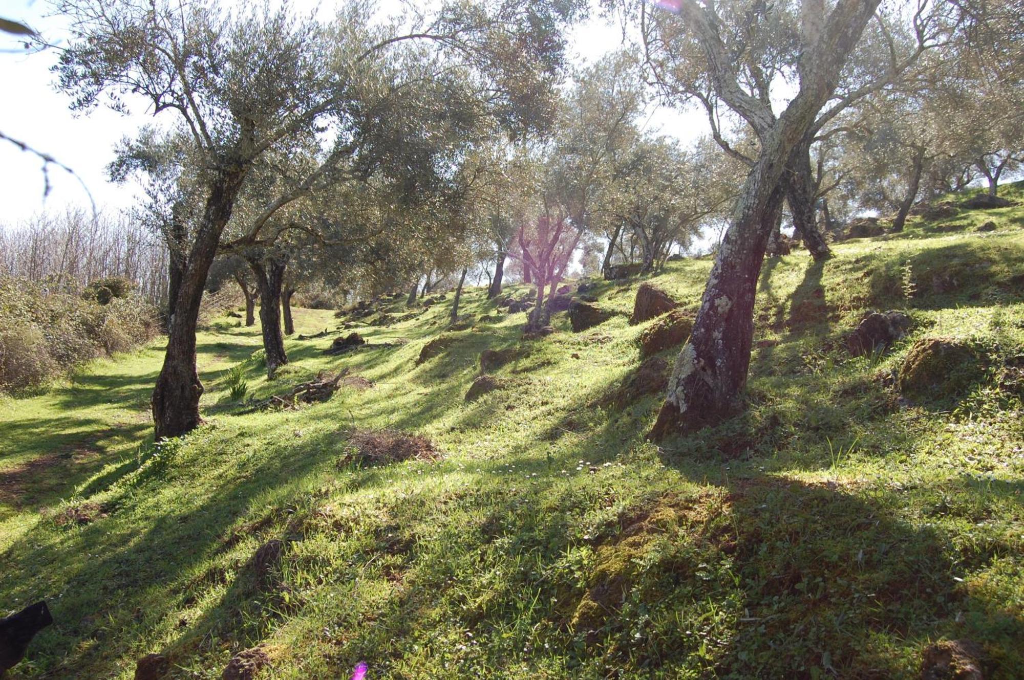 Los Pozos De La Nieve Constantina Εξωτερικό φωτογραφία